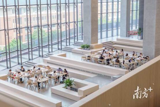 在图书馆阅读学习的广州新华学院学子。