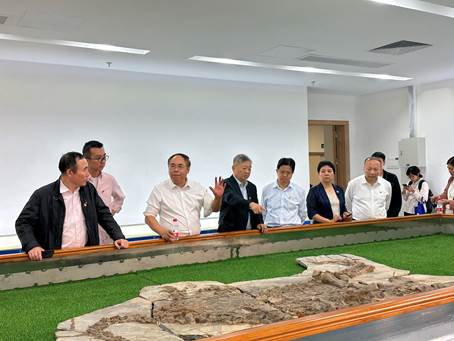 王院长讲解