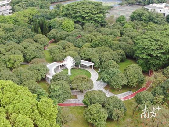 东莞理工学院松山湖校区。